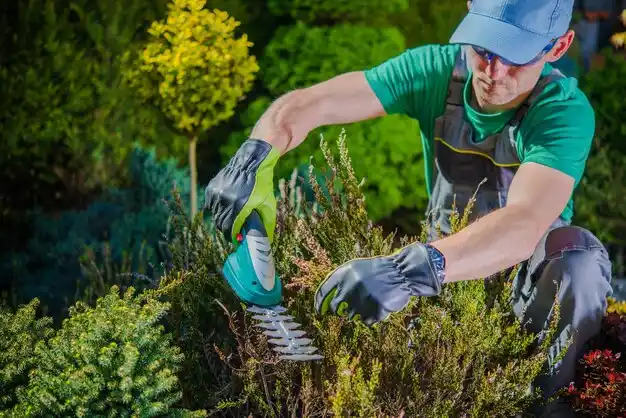 landscaping services Merrydale